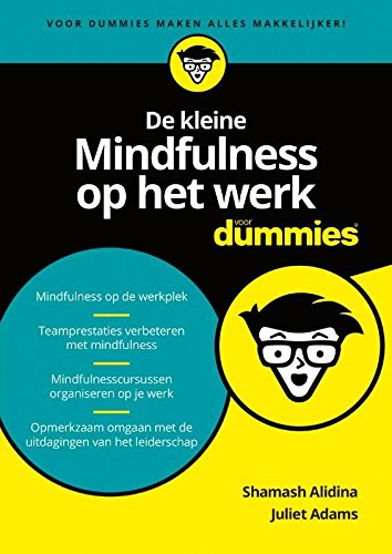 De kleine mindfulness op het werk voor dummies book