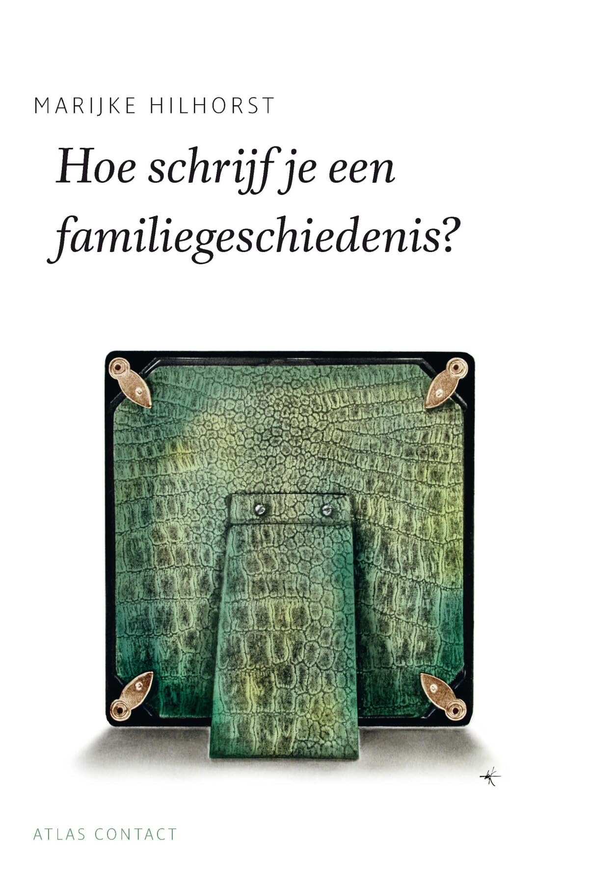 Hoe schrijf je een familiegeschiedenis? book