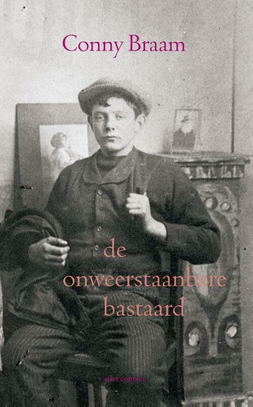 De onweerstaanbare bastaard: roman book