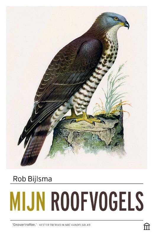 Mijn roofvogels Mathematics
