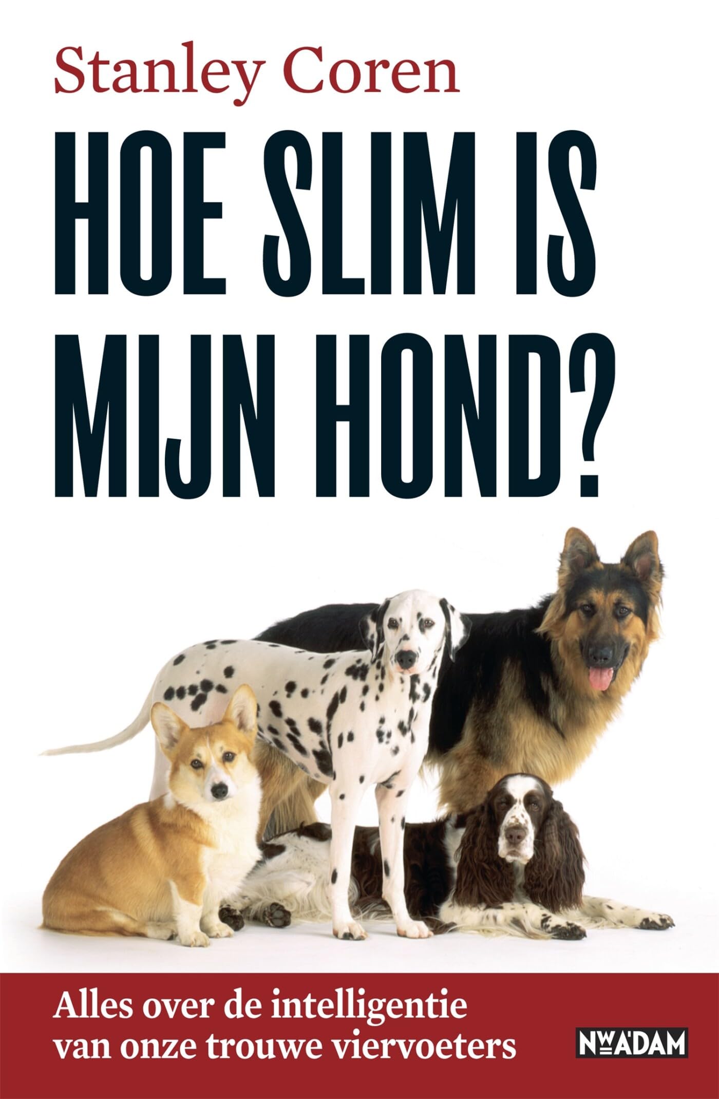 Hoe slim is mijn hond?: alles over de intelligentie van onze trouwe viervoeters book