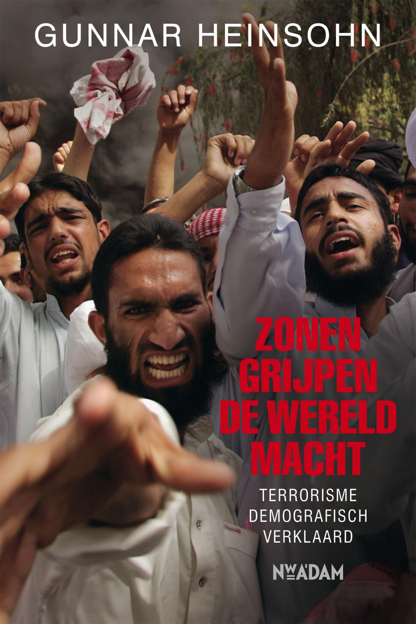 Zonen grijpen de wereldmacht: terrorisme demografisch verklaard book