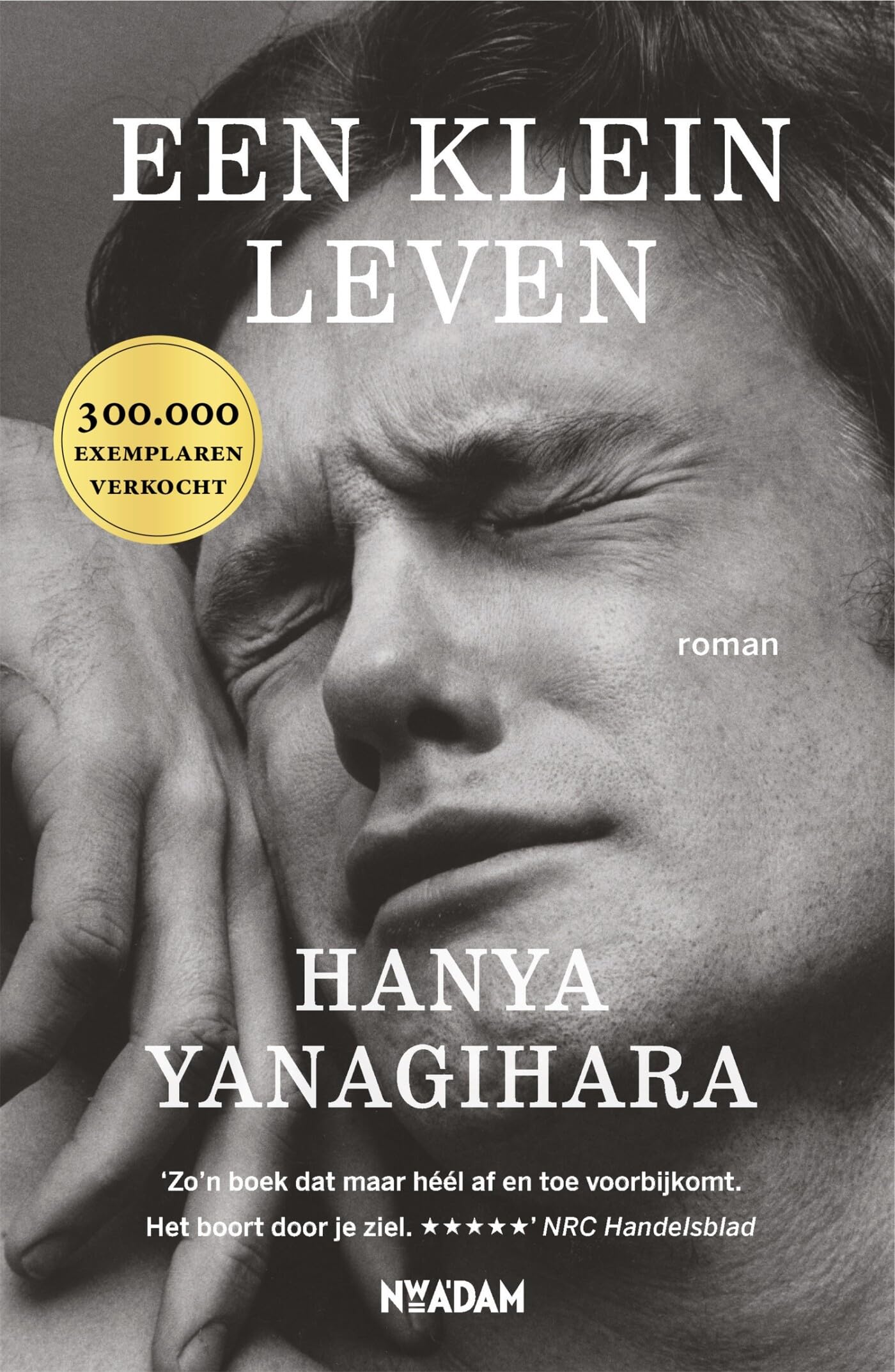 Product Image: Een klein leven