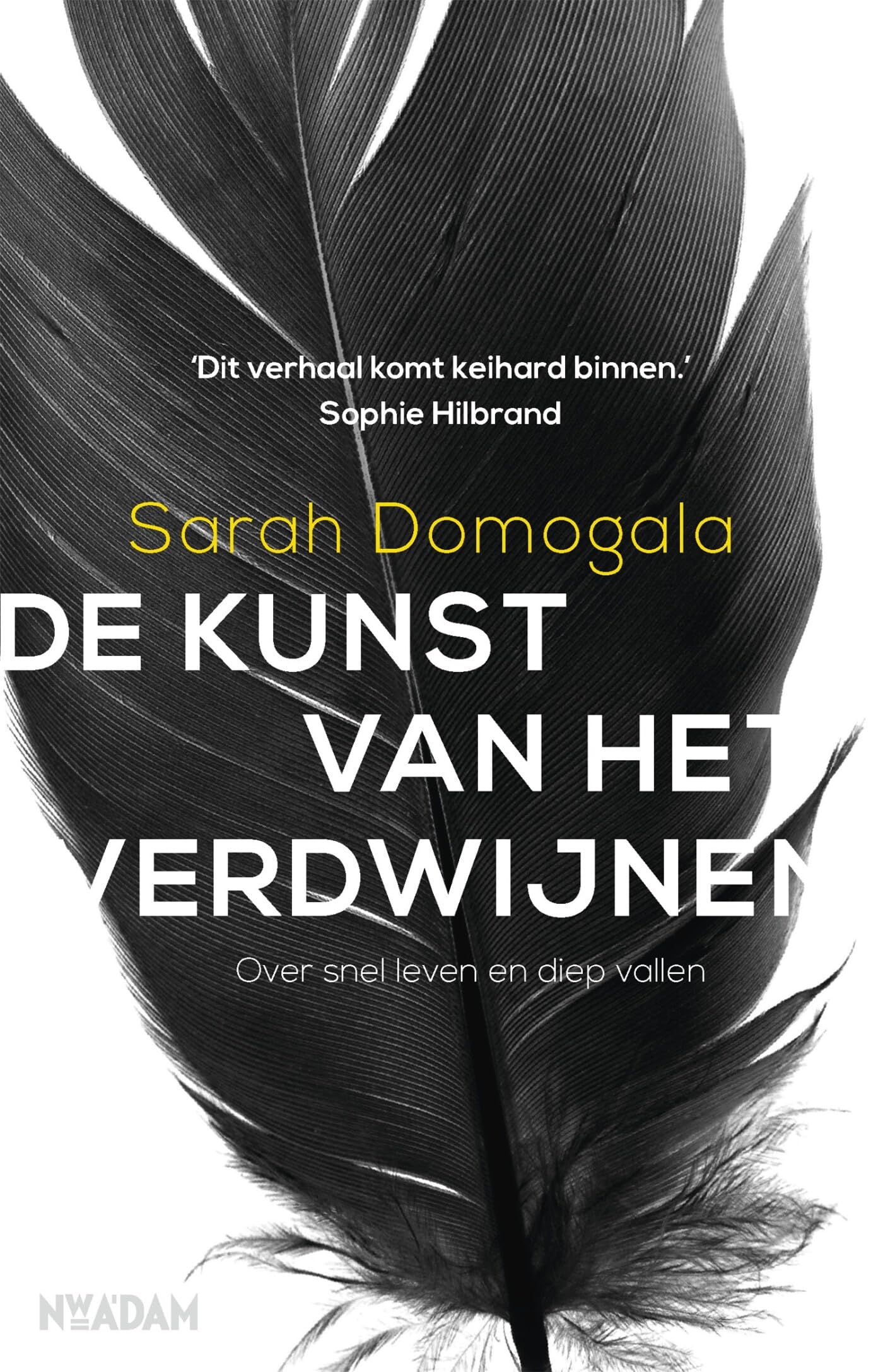 De kunst van het verdwijnen: over snel leven en diep vallen book
