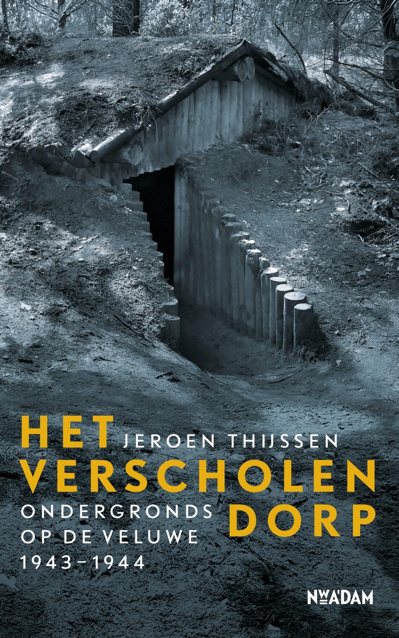 Het verscholen dorp: ondergronds op de Veluwe 1943-1944 book