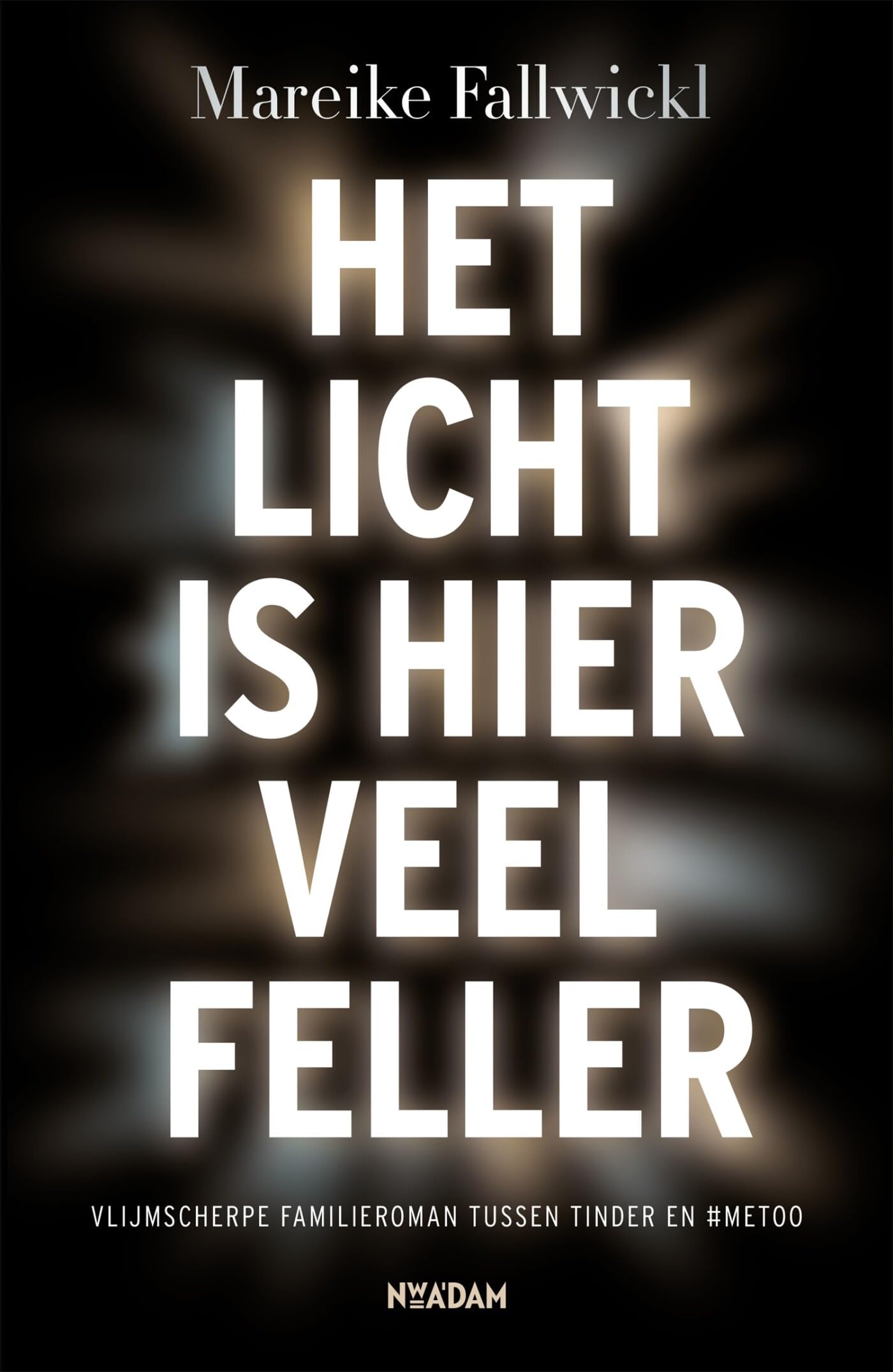 Het licht is hier veel feller: roman Books