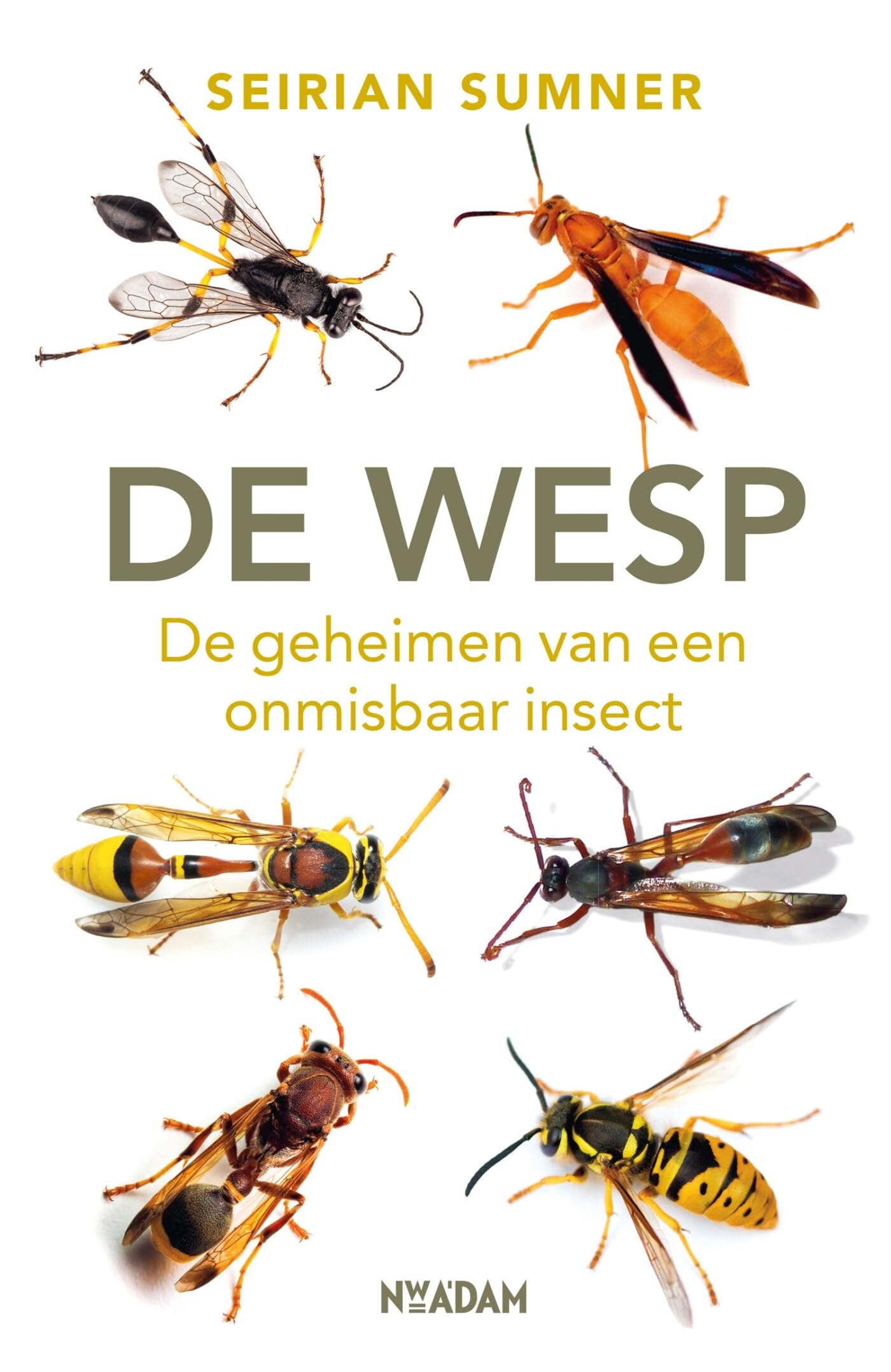De wesp: de geheimen van een onmisbaar insect book