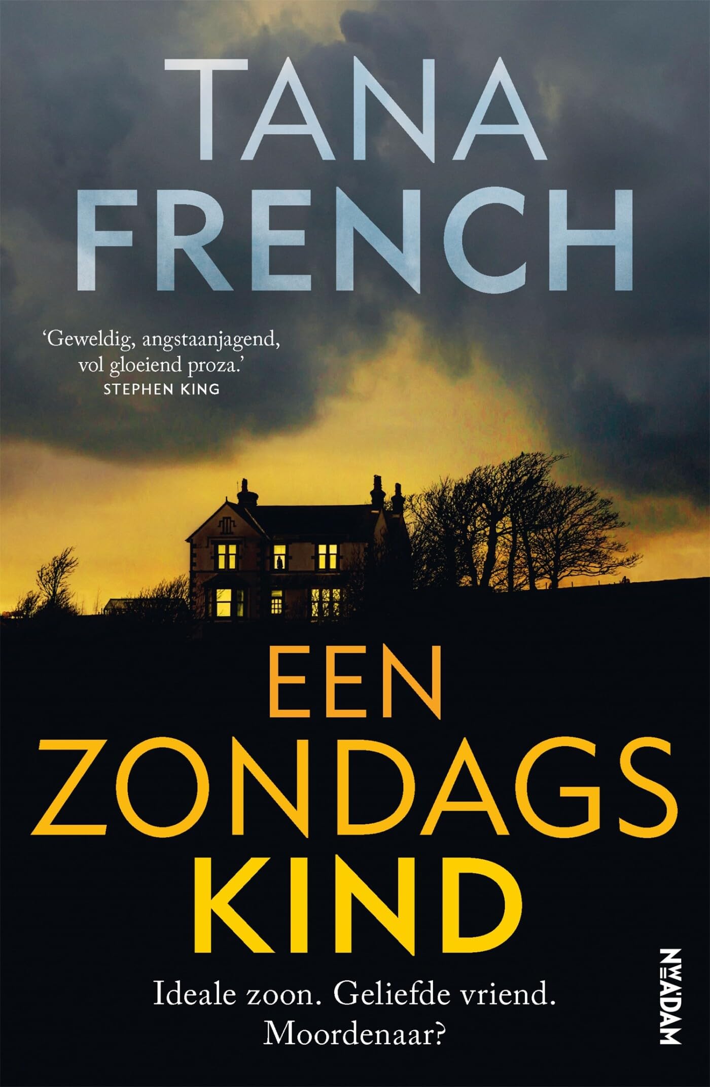 Een zondagskind: Ideale zoon. Geliefde vriend. Moordenaar? book