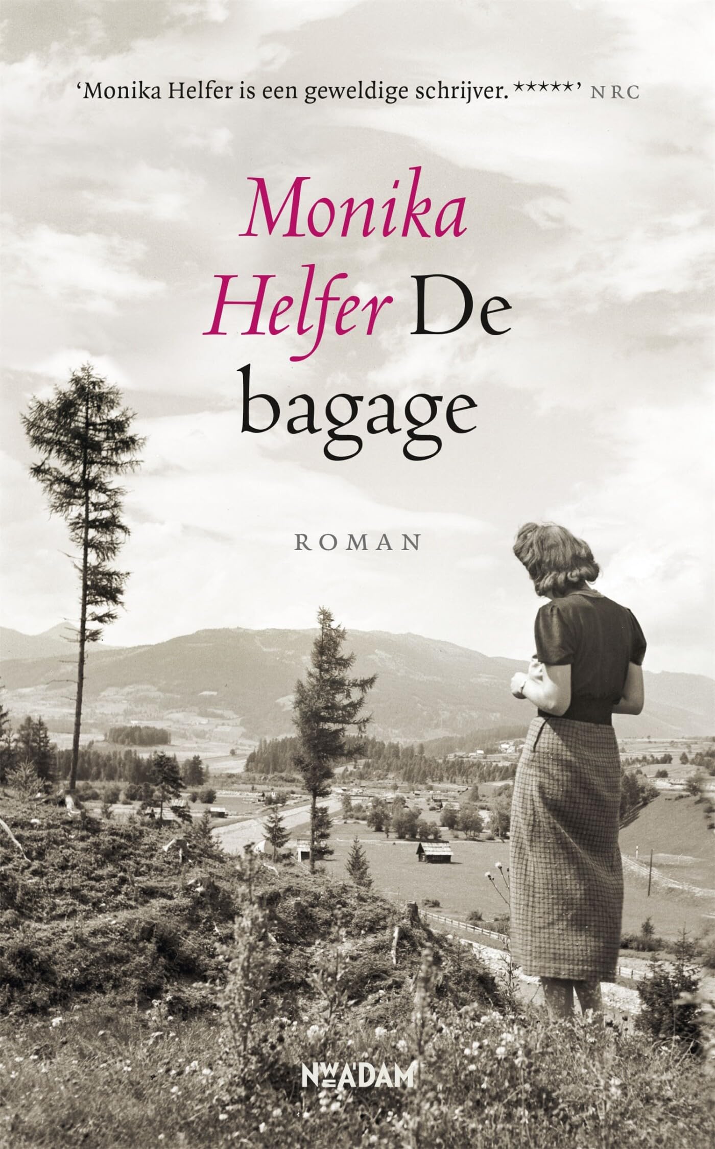 Product Image: De bagage: roman