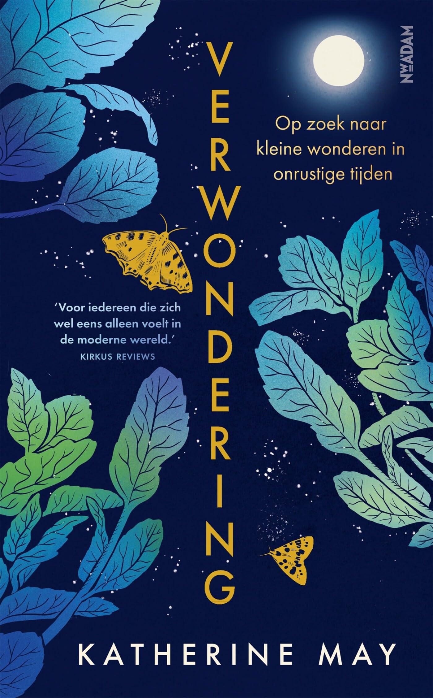 Verwondering: op zoek naar kleine wonderen in onrustige tijden Art & Literature