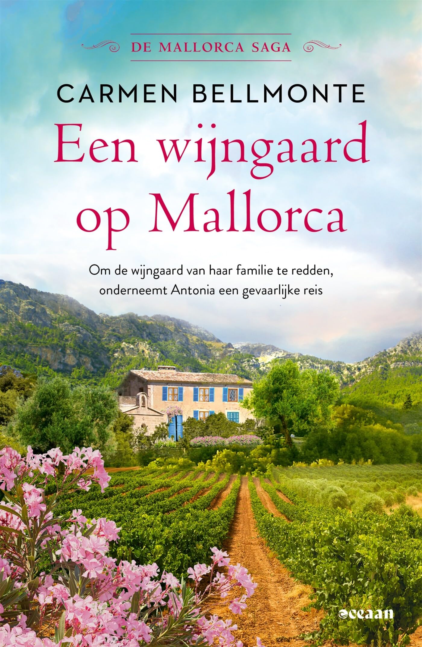 Een wijngaard op Mallorca book