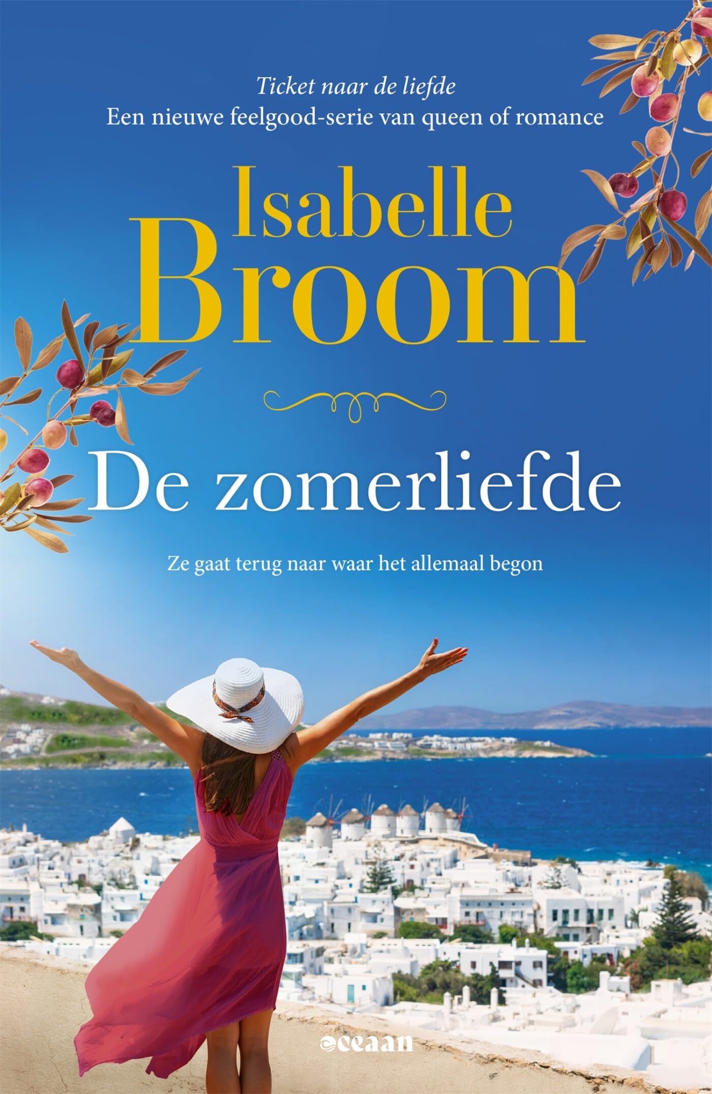 De zomerliefde: Ze gaat terug naar waar het allemaal begon (Ticket naar de liefde, 3) book