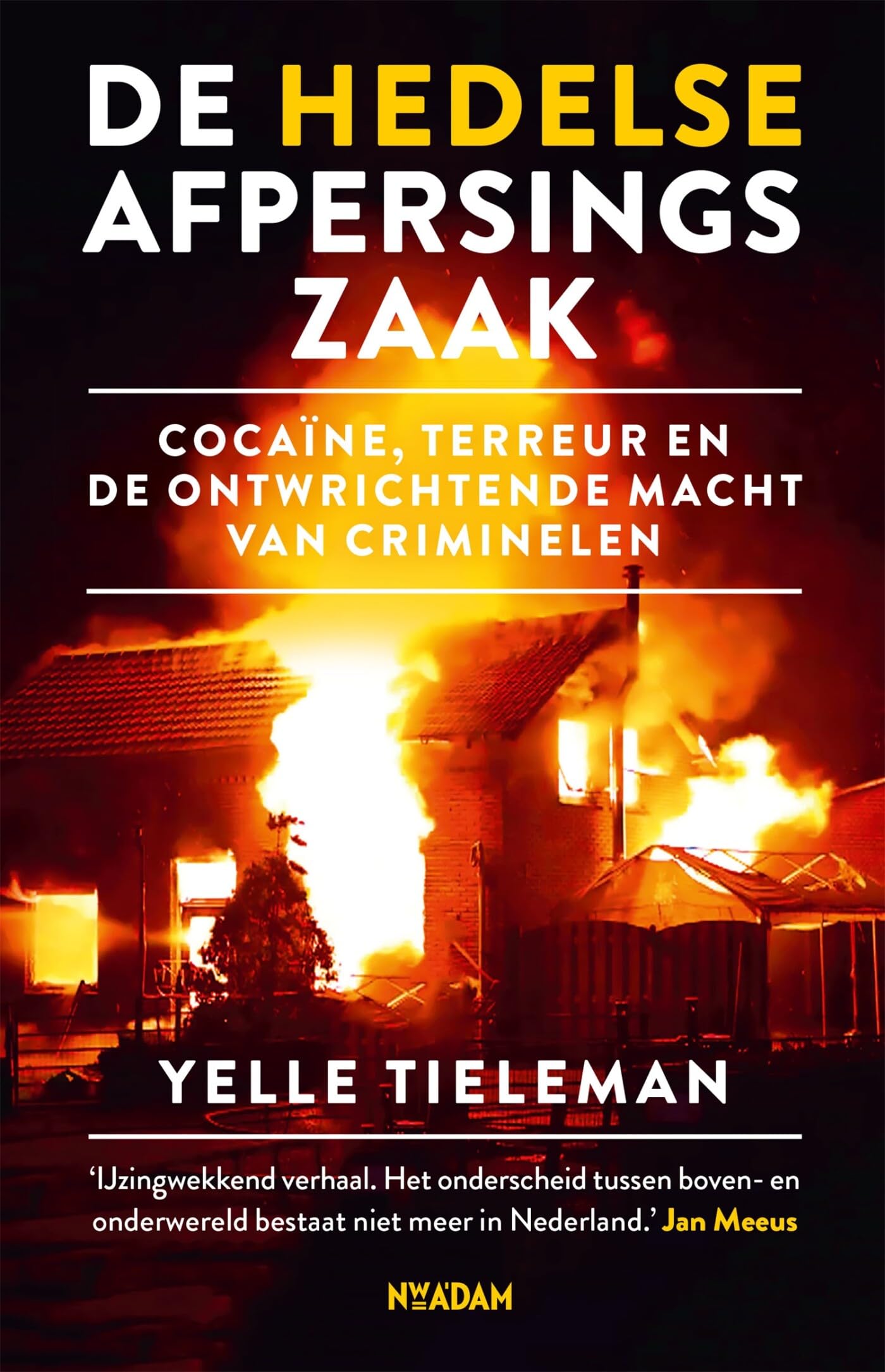 De Hedelse afpersingszaak: cocaïne, terreur en de ontwrichtende macht van criminelen Social Sciences