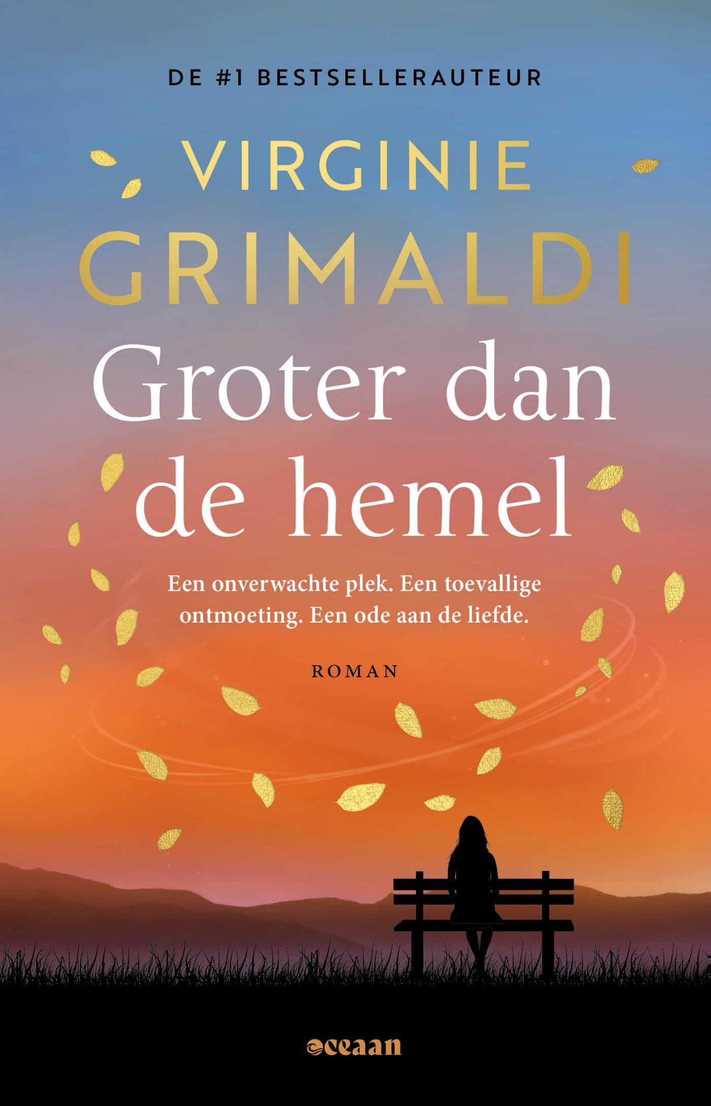 Groter dan de hemel: Een onverwachte plek. Een toevallige ontmoeting. Een ode aan de liefde. Contemporary literature