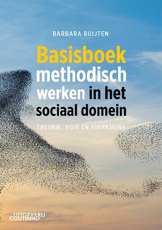 Basisboek methodisch werken in het sociaal domein: theorie, visie en toepassing book