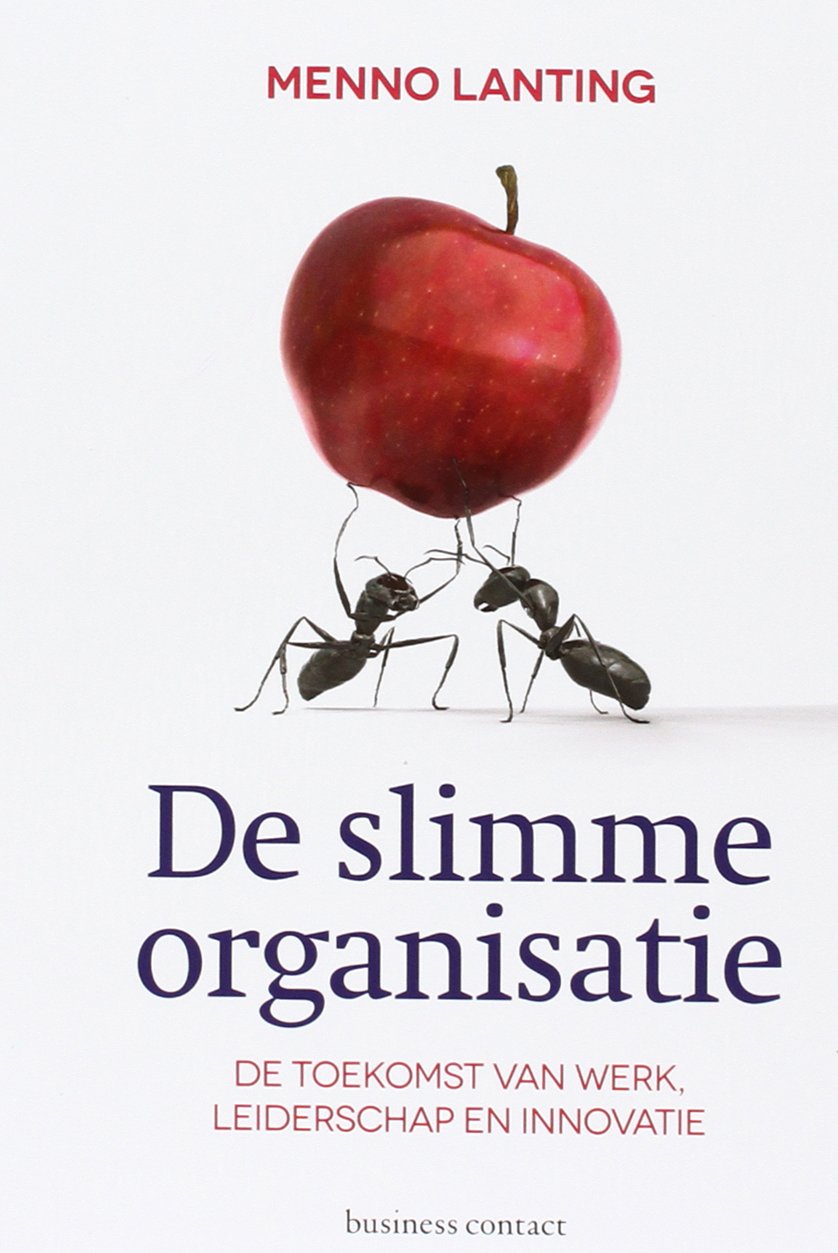 De slimme organisatie: de toekomst van werk, leiderschap en innovatie Business, Finance & Career