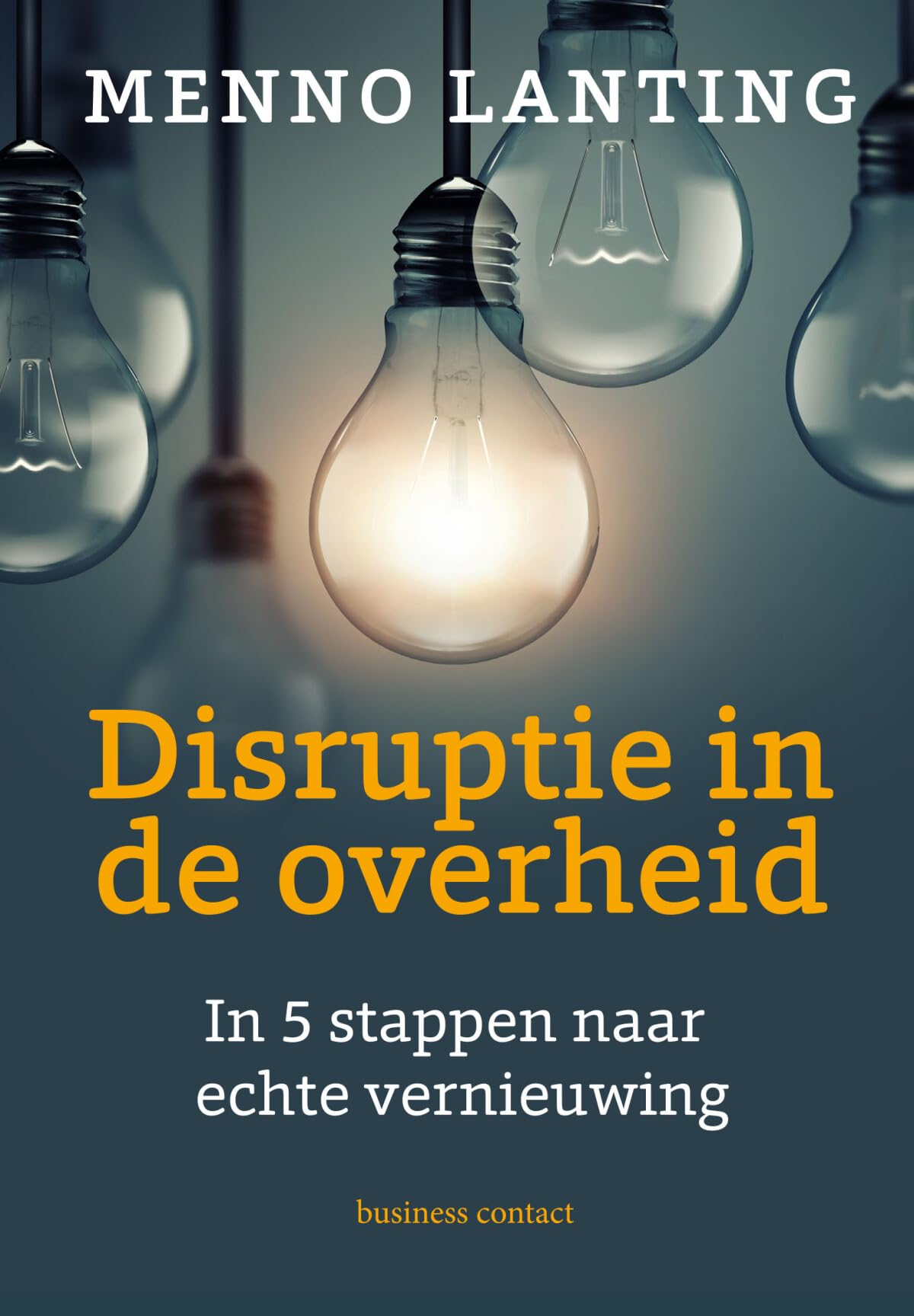 Disruptie in de overheid: in 5 stappen naar echte vernieuwing book