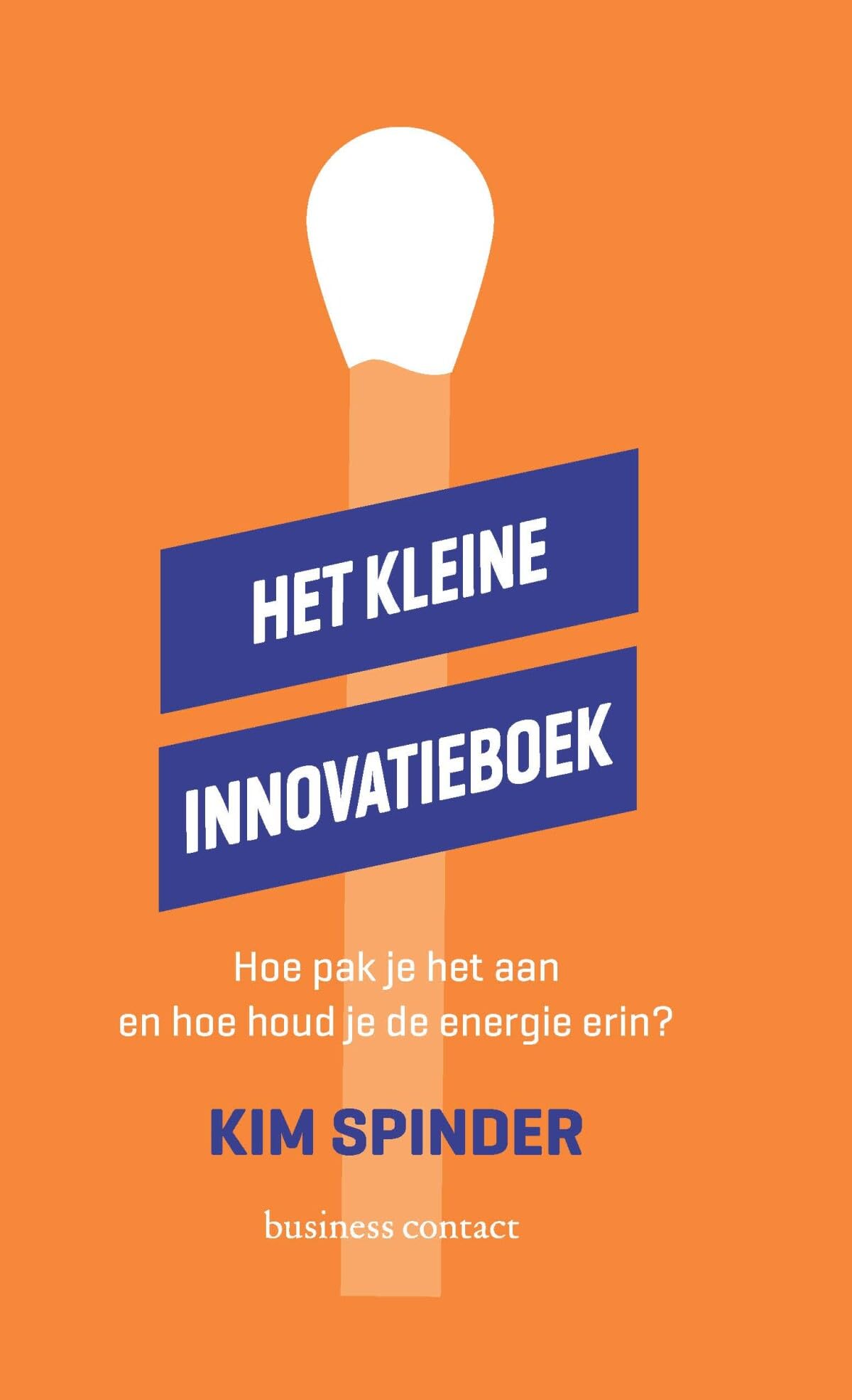 Het kleine innovatieboek: hoe pak je het aan en hoe houd je de energie erin? book