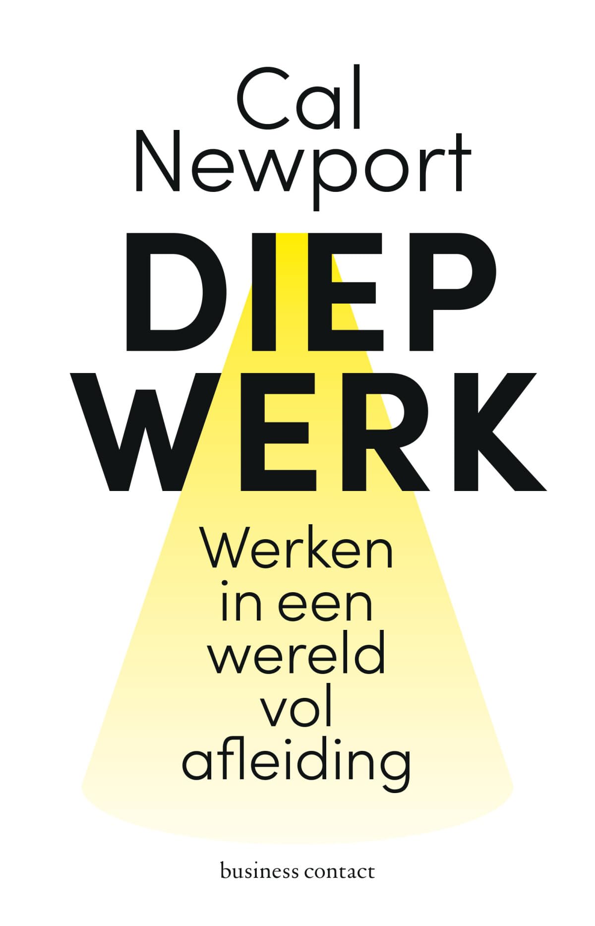 Diep werk: werken met aandacht in een wereld vol afleiding Business, Finance & Career