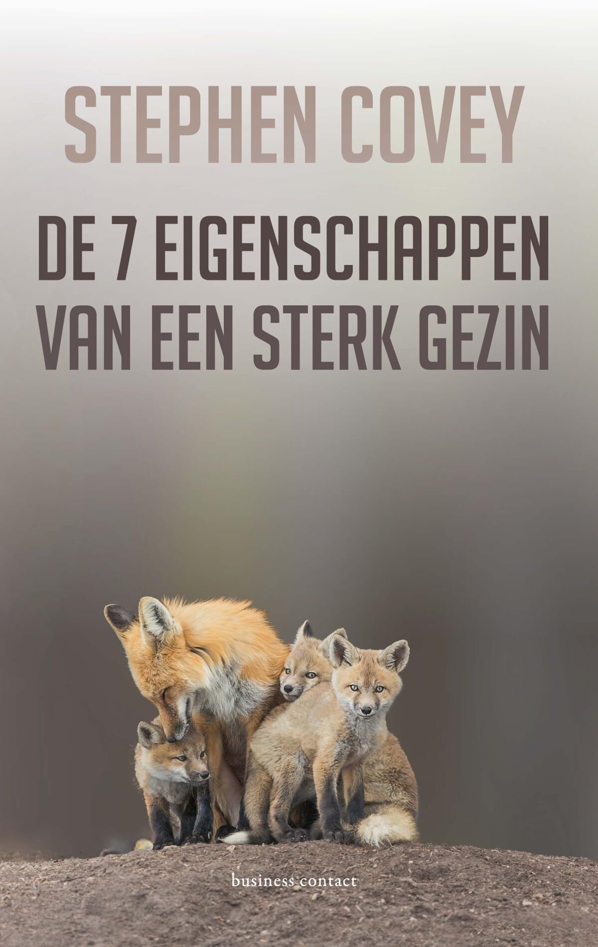 De zeven eigenschappen van een sterk gezin book
