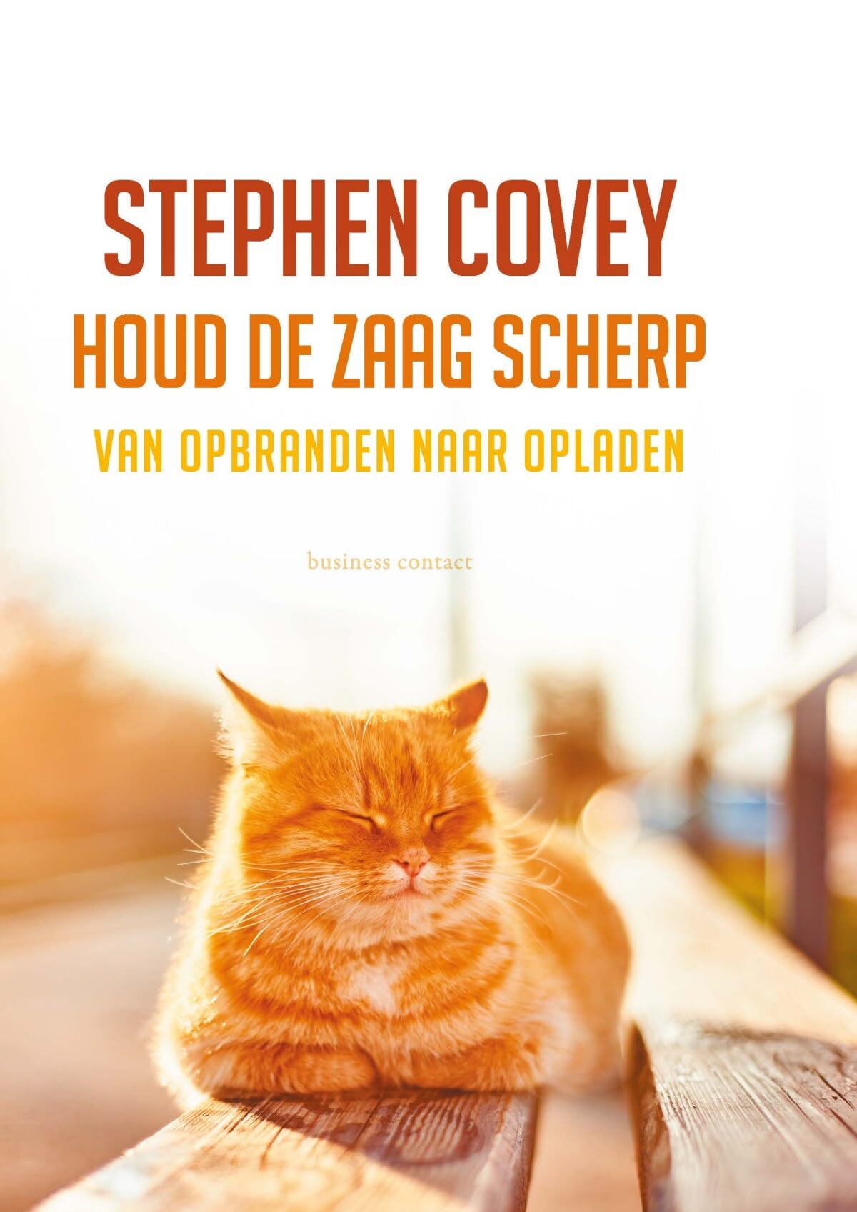 Houd de zaag scherp: van opbranden naar opladen Philosophy