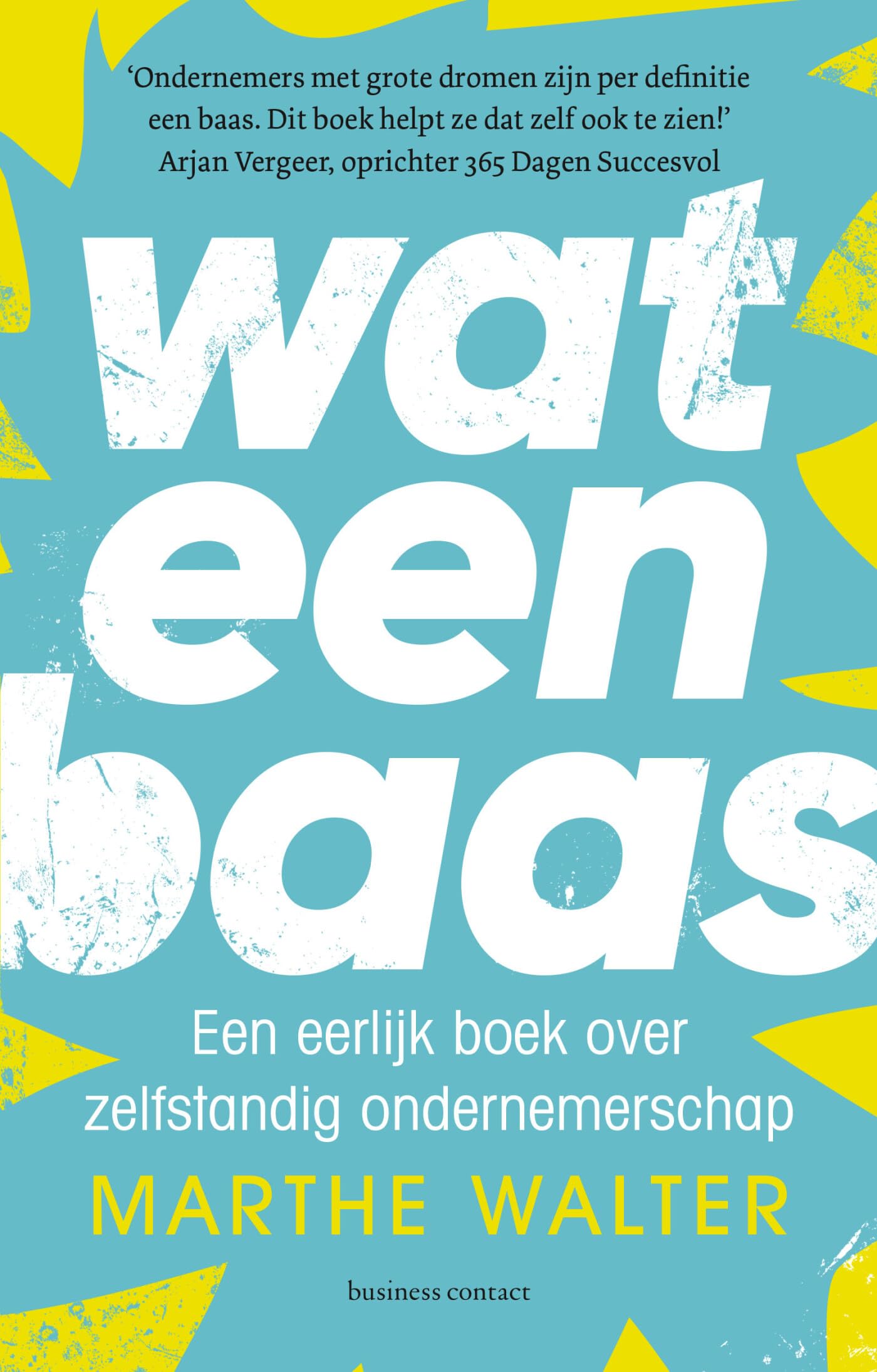 Wat een baas: een eerlijk boek over zelfstandig ondernemerschap book