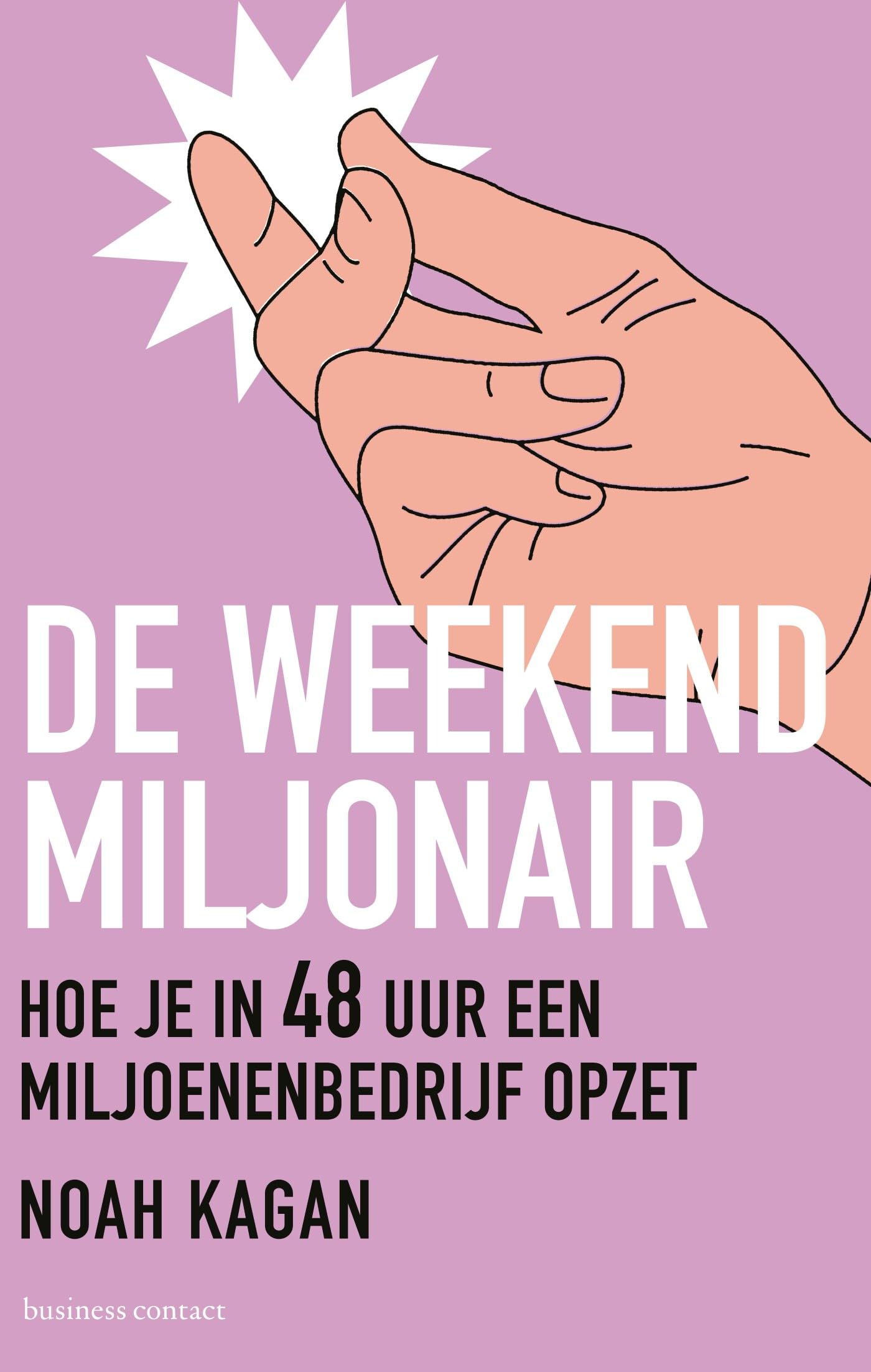 De weekendmiljonair: hoe je in 48 uur een miljoenenbedrijf opzet book