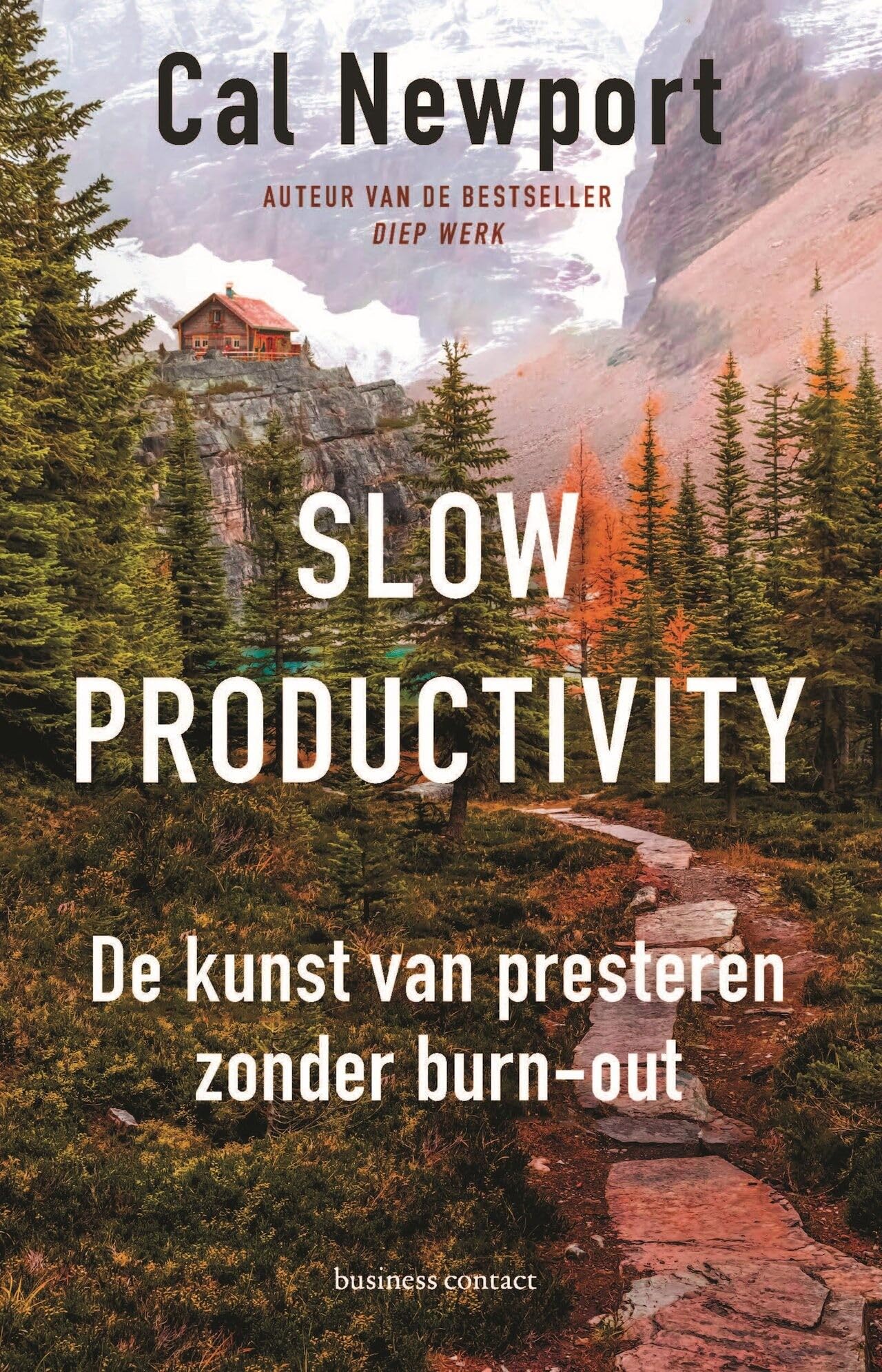 Slow productivity: de kunst van presteren zonder burn-out book