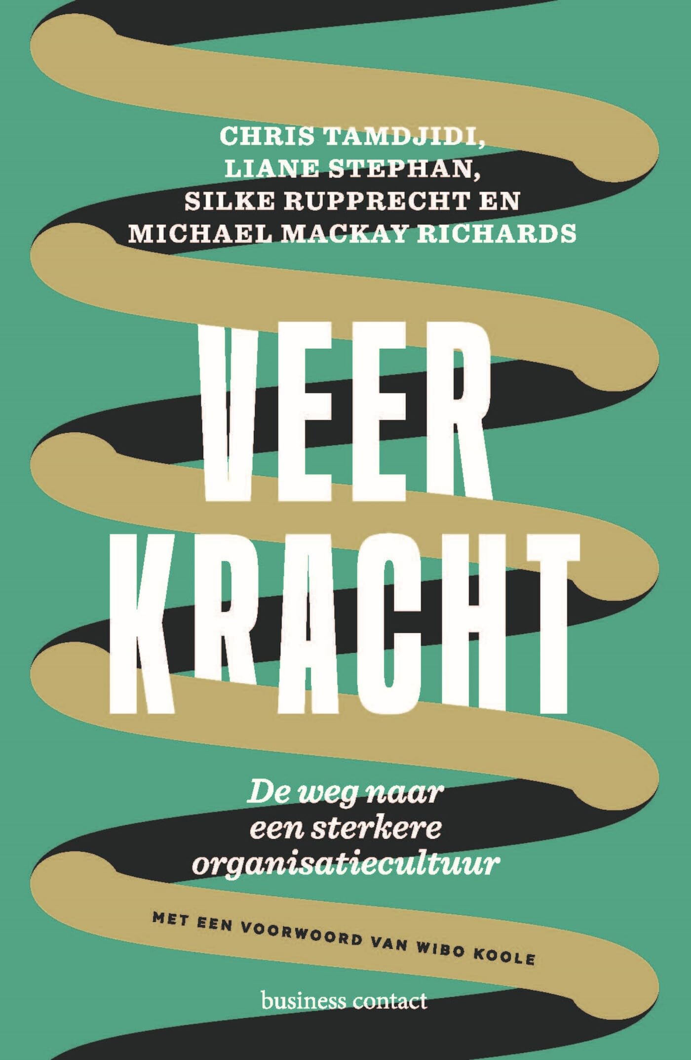 Veerkracht: de weg naar een sterkere organisatiecultuur book