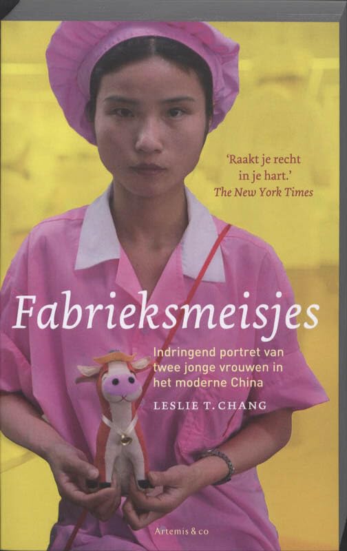 Fabrieksmeisjes: indringend portret van twee jonge vrouwen in het moderne China Books