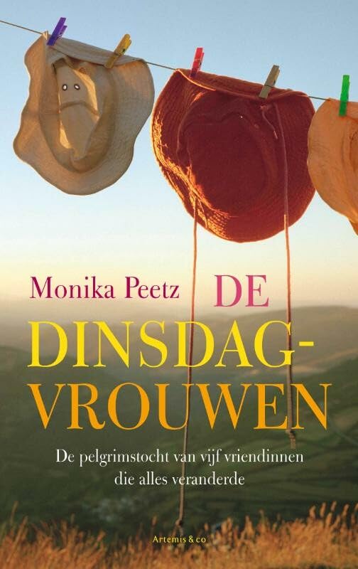 De dinsdagvrouwen: roman over de pelgrimstocht van vijf vriendinnen die alles veranderde book
