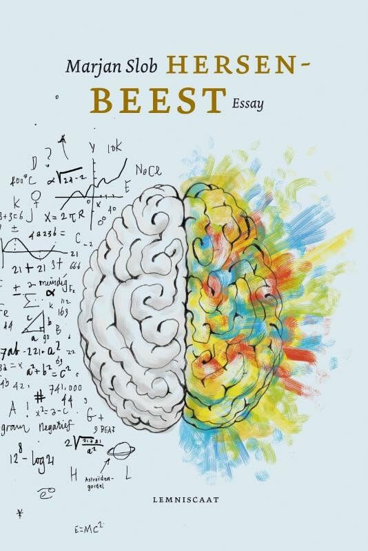 Hersenbeest: filosoferen over het brein en de menselijke geest : essay book