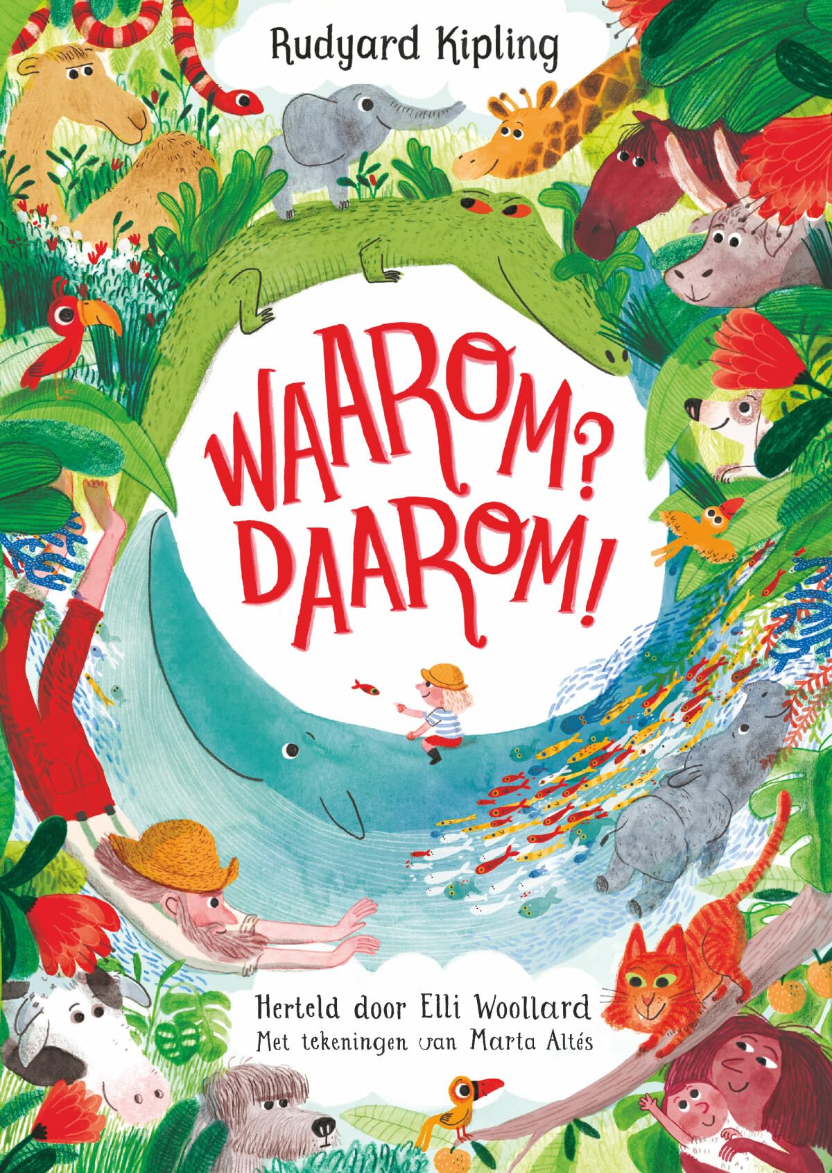 Product Image: Waarom? Daarom!