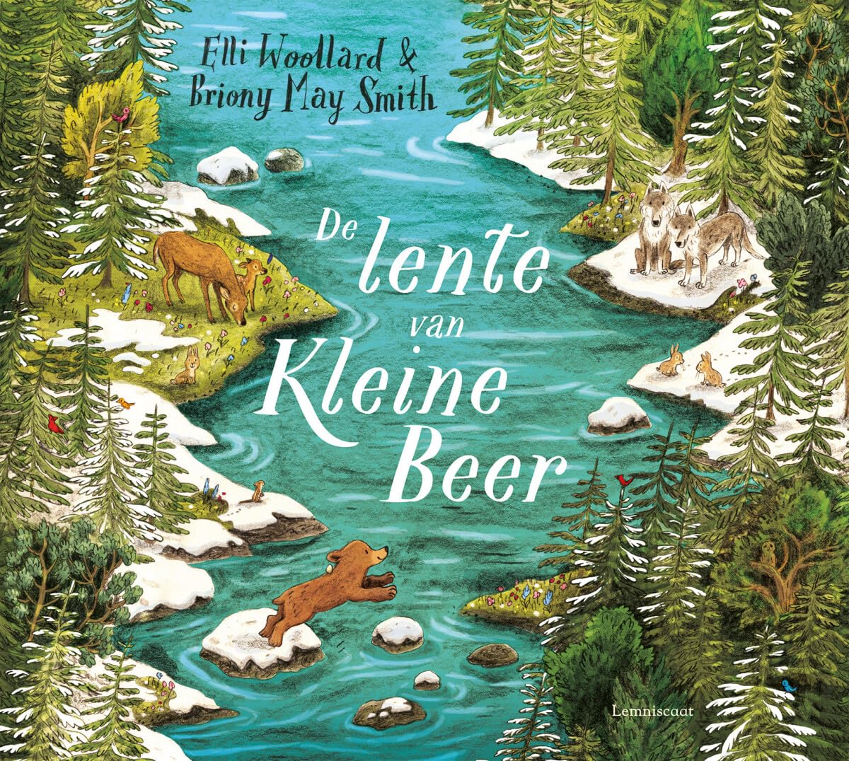 De lente van Kleine Beer book