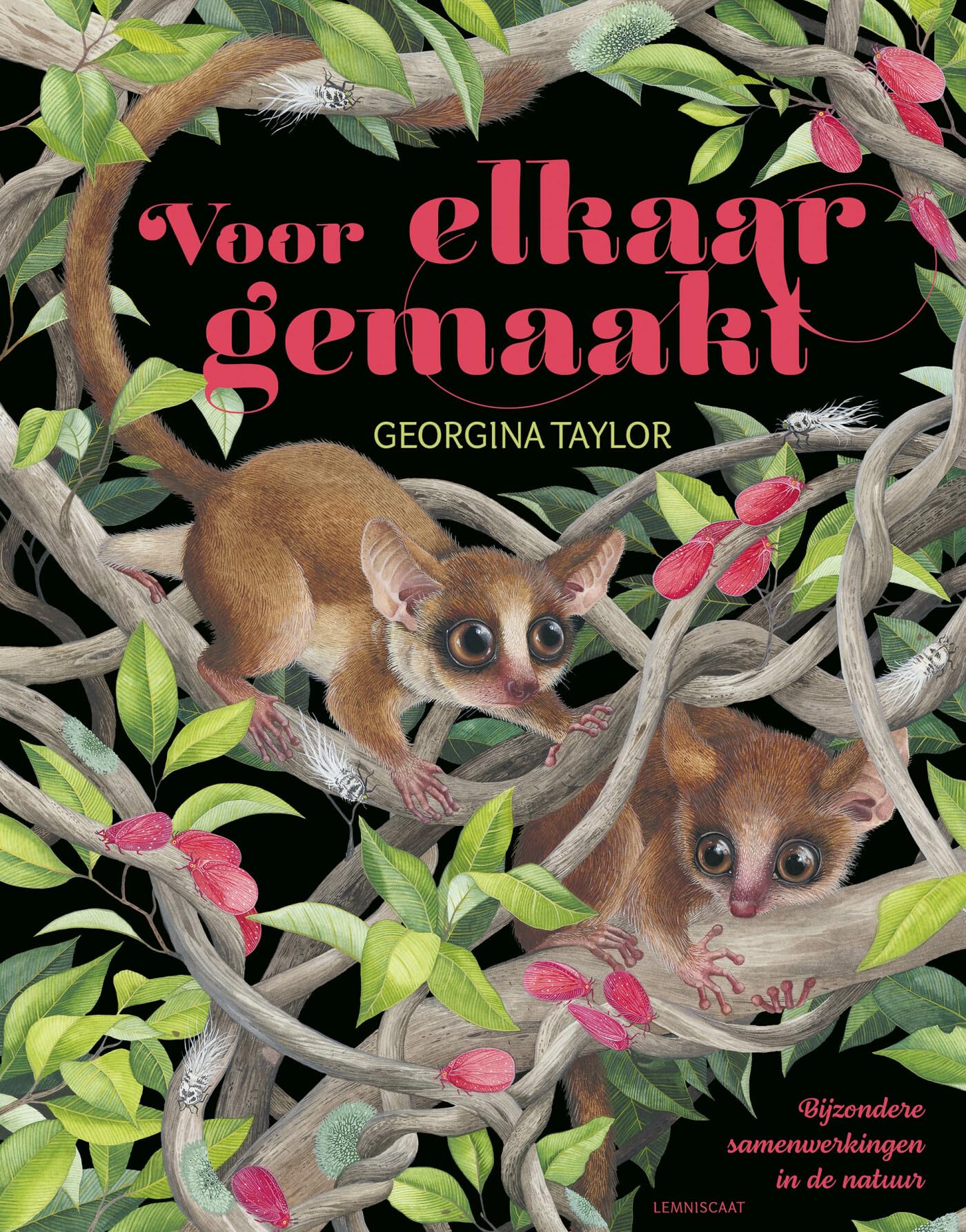 Voor elkaar gemaakt: bijzondere samenwerkingen in de natuur book