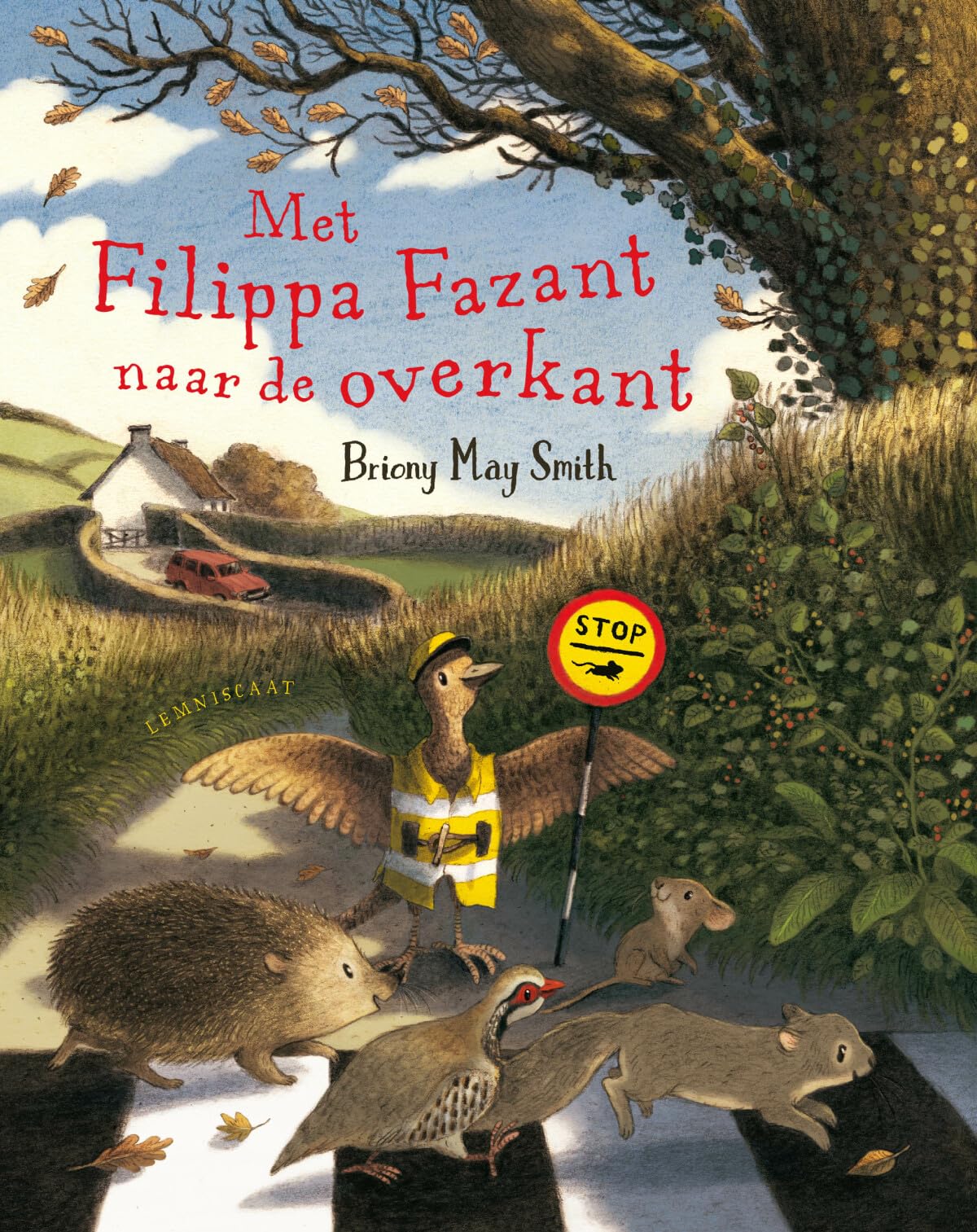 Met Filippa Fazant naar de overkant book