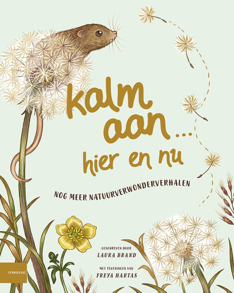 Kalm aan… Hier en nu book