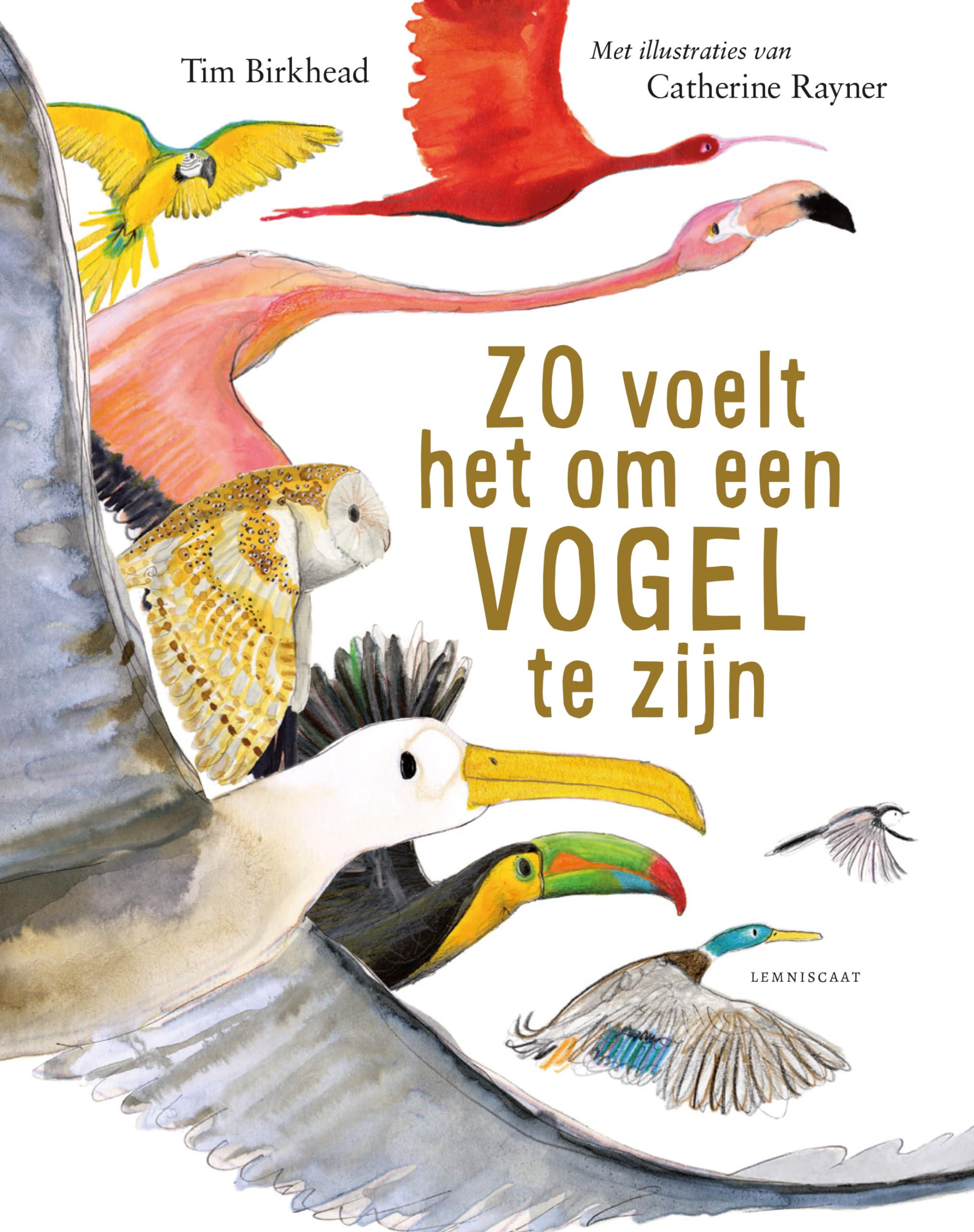 Zo voelt het om een vogel te zijn book