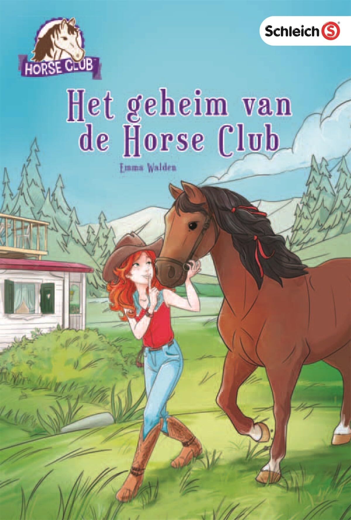 Het geheim van de Horse Club book