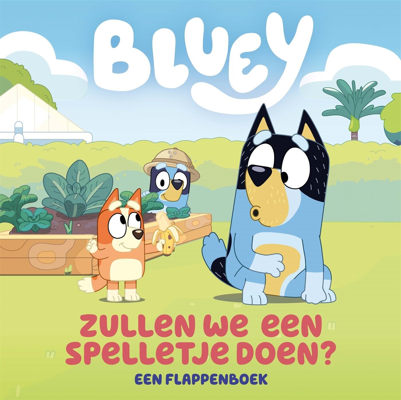 Zullen we een spelletje doen?: een flappenboek book