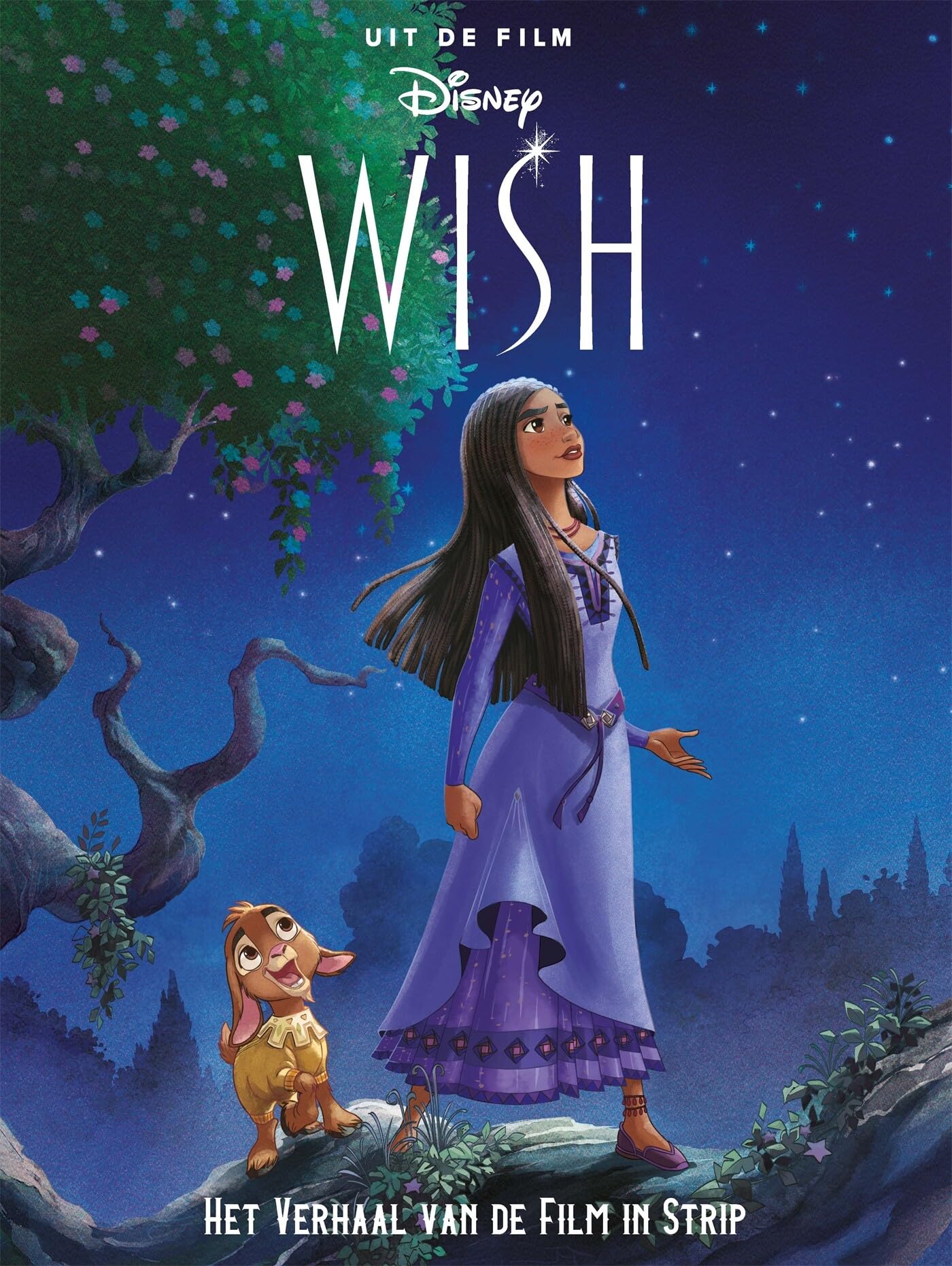 Wish (Disney filmstrip) Novels & Short Stories