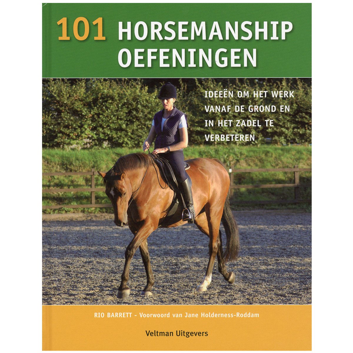 101 horsemanship oefeningen: ideeën om het werk vanaf de grond en in het zadel te verbeteren book