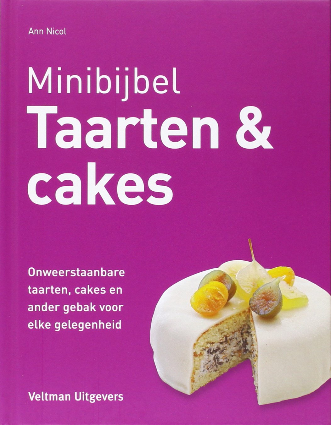Taarten & cakes: onweerstaanbare taarten, cakes en ander gebak voor elke gelegenheid (Minibijbel) Leisure, Home & Garden