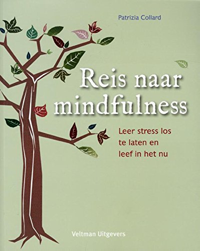 Reis naar mindfulness: leer stress los te laten en leef in het nu book