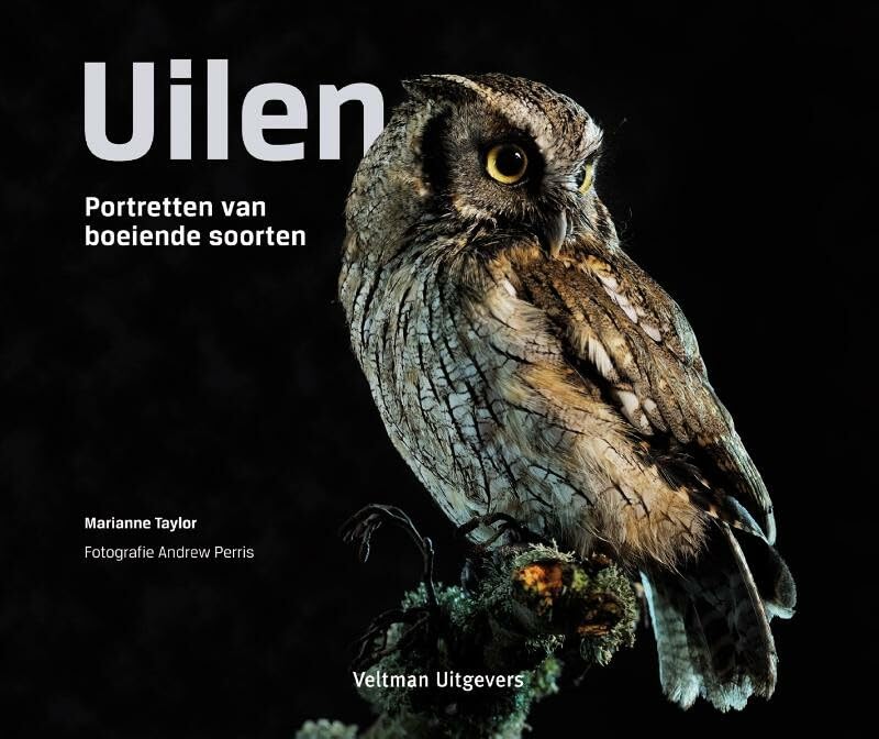Uilen: portretten van boeiende soorten book
