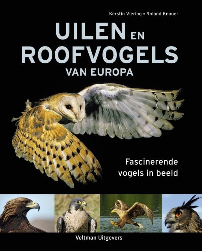 Uilen en roofvogels van Europa: fascinerende vogels in beeld Leisure, Home & Garden