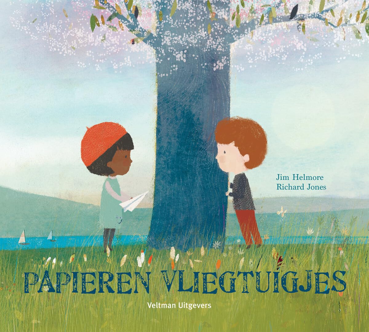 Papieren vliegtuigjes book