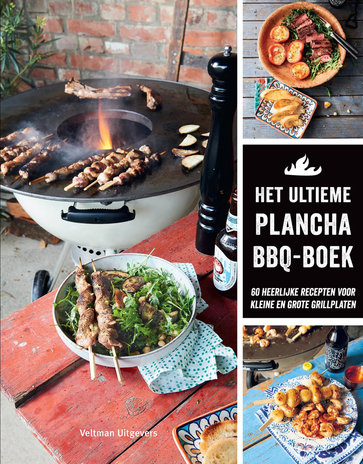 Het ultieme plancha BBQ-boek: 60 heerlijke recepten voor kleine en grote grillplaten Leisure, Home & Garden
