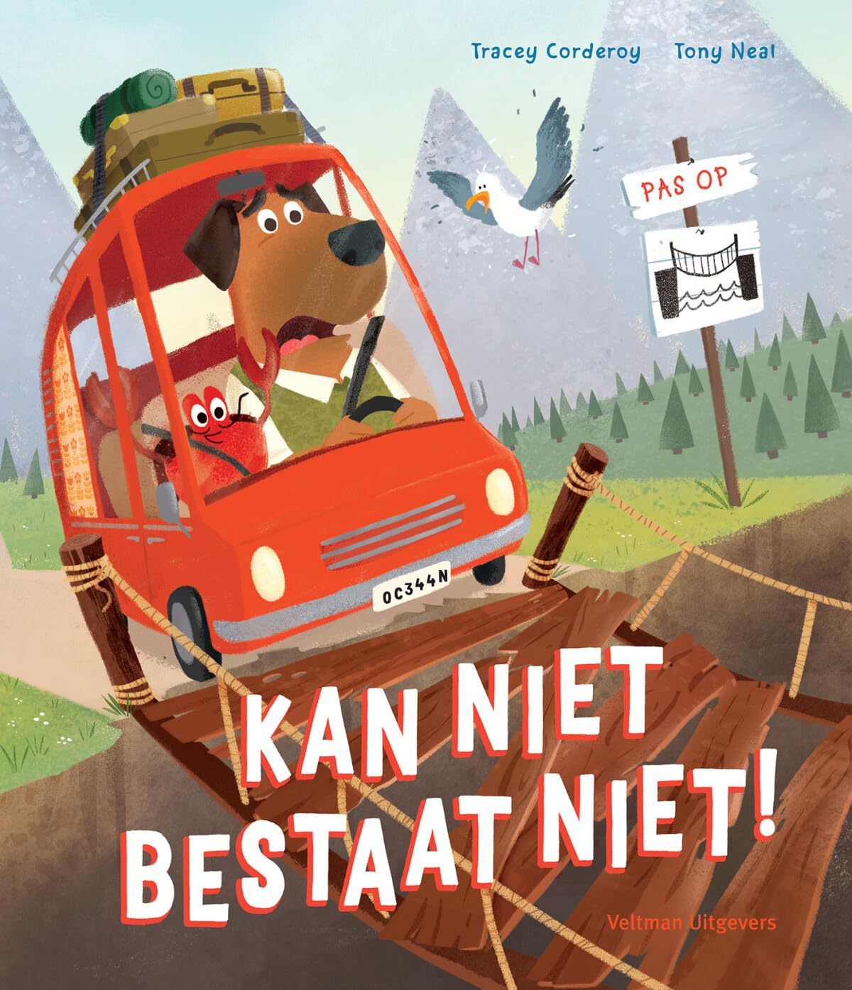 Kan niet bestaat niet! book