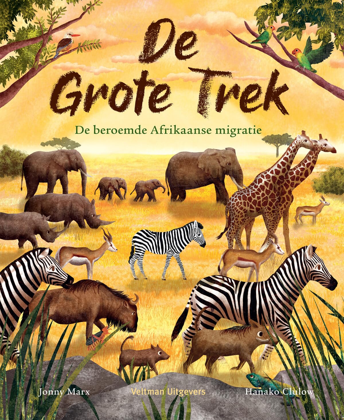 De grote trek: de beroemde Afrikaanse migratie book